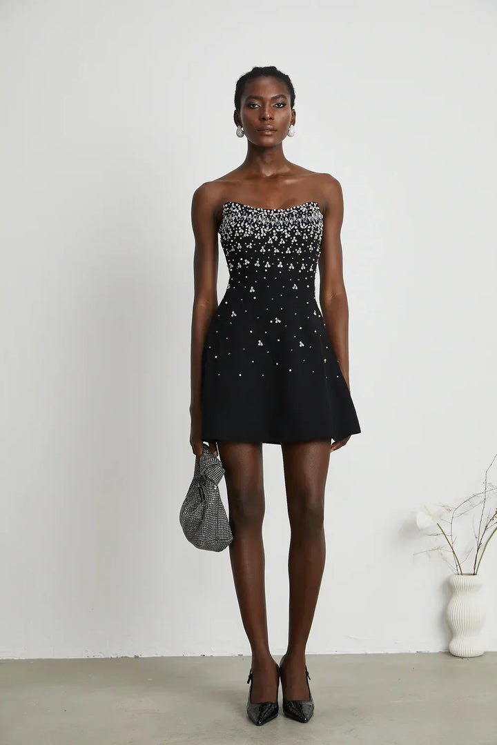 Nikki - Rhinestone Embellished Mini Dress